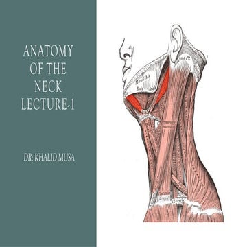 Anatomy Of NECK.pptx