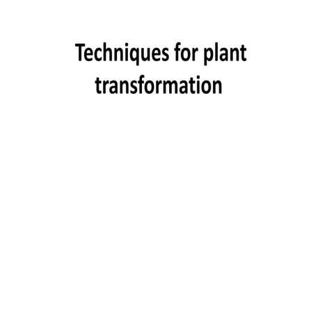Plant Transformation presentation via Biotechnology