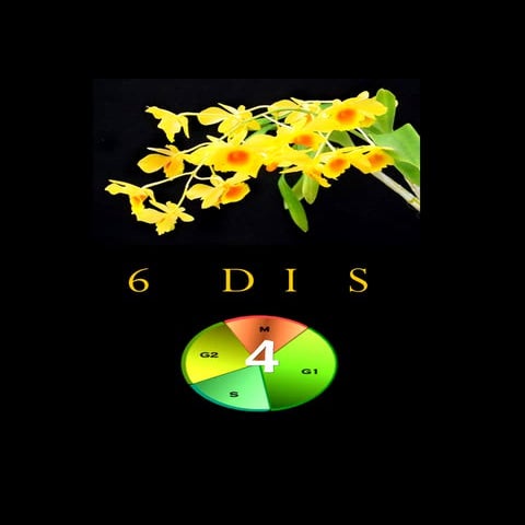 Morfologi & Pengkelasan (3)