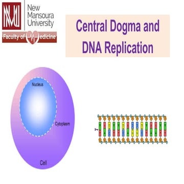 L4, DNA replication_a179de3d3c6fcb468dc8f45c9a87334f.pdf