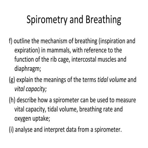L4 spirometer