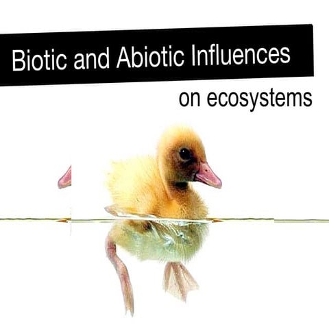Grade9, U3-L5 biotic and abiotic factors