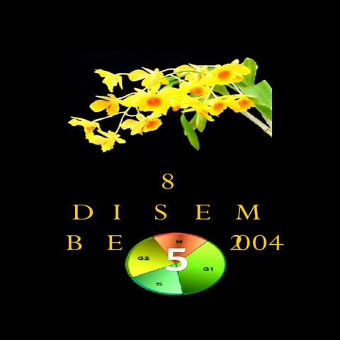 Morfologi & Pengkelasan (4)