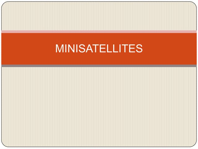  minisatellites