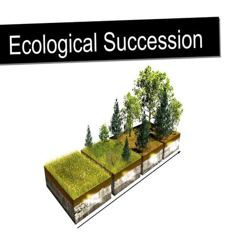 Grade9,U3-L6 Ecological Succession