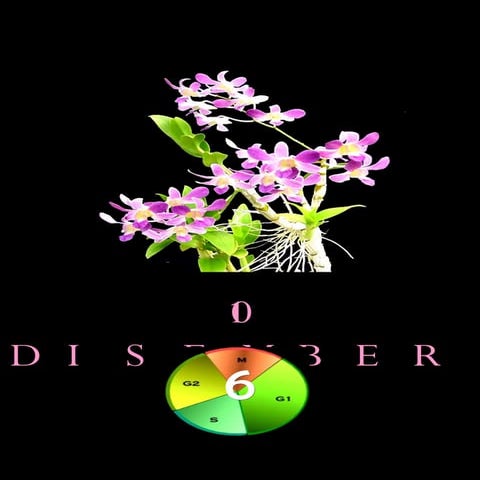 Pembiakan Tanaman (5)