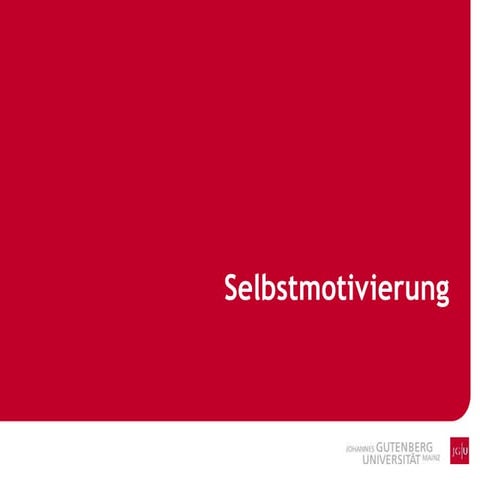 BIWI - L6 Selbstmotivierung