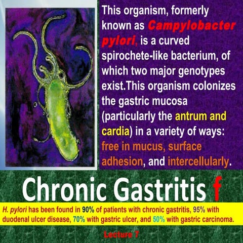 L7 chronic gastritis f