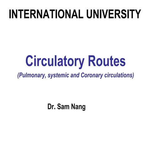 L7 circulatory routes