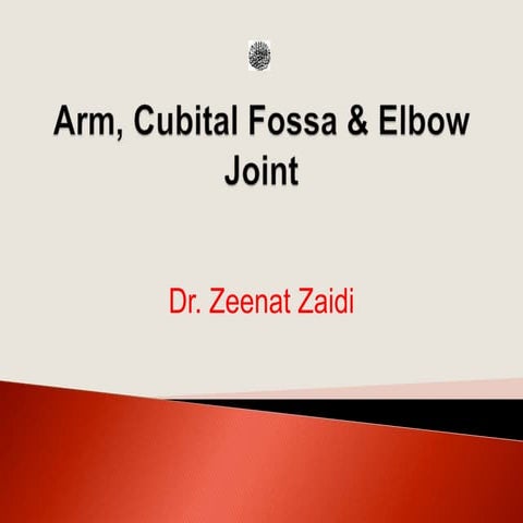 L9-arm & elbow 2013.ppt