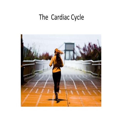 L9 Cardiac Cycle