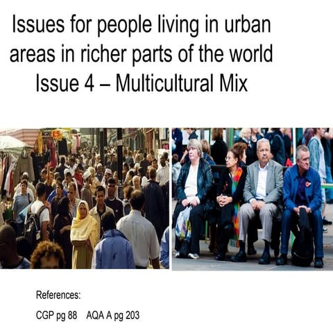 L9 issues for people living in urban areas in rich countries   multicultural mix
