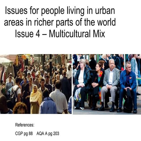 L9 issues for people living in urban areas in rich countries   multicultural mix