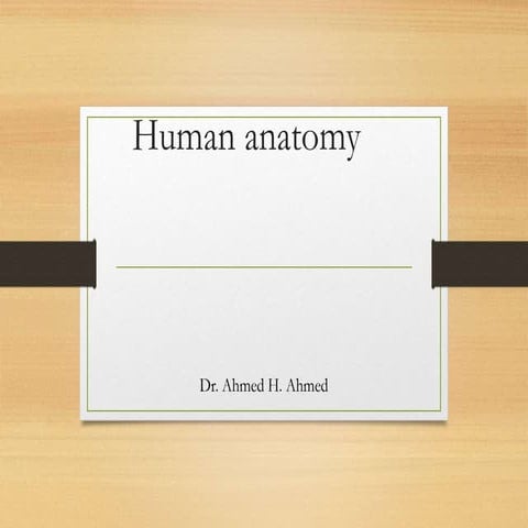 L9 muscles of upper limb [Autosaved].pptx