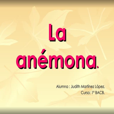 La AnéMona