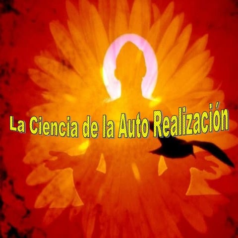 La Busqueda De La Felicidad