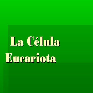 LA CELULA EUCARIOTA