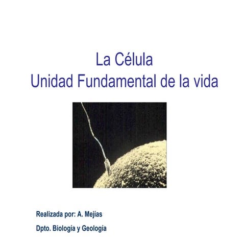 La célula. Unidad fundamental de la vida | PPT