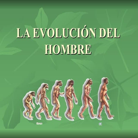 La EvolucióN Del Hombre