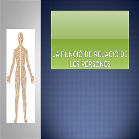 La funcció de relació