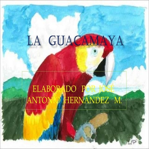 La Guacamaya