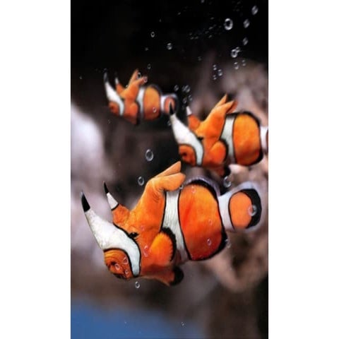 La magia de photoshop