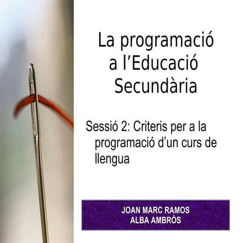 La Programació De Llengua