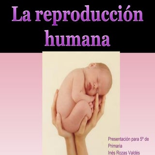 La ReproduccióN Humana