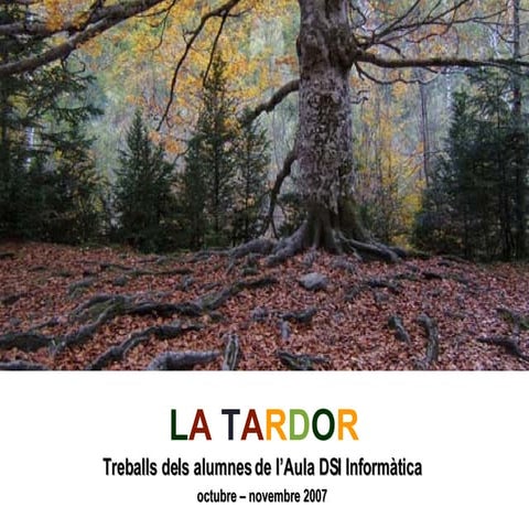 Caaco Act 1213 mt019 r1 dossier tardor inicial mig PDF