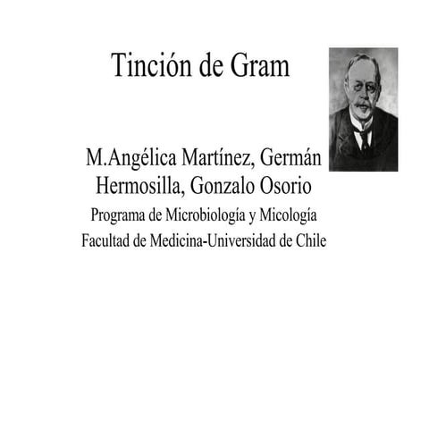 La TincióN De Gram