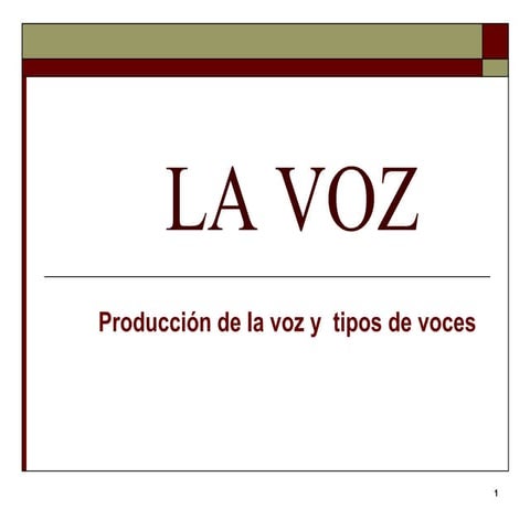 Uso correcto y manejo de la voz | PPT