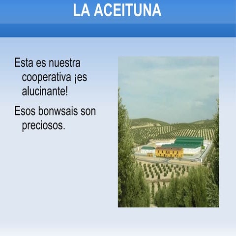 La aceituna de inesynieves