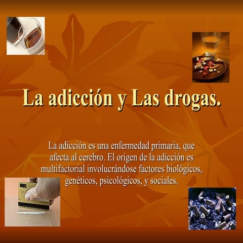 La Adiccion Silvia Ximena MuñOz 10 2