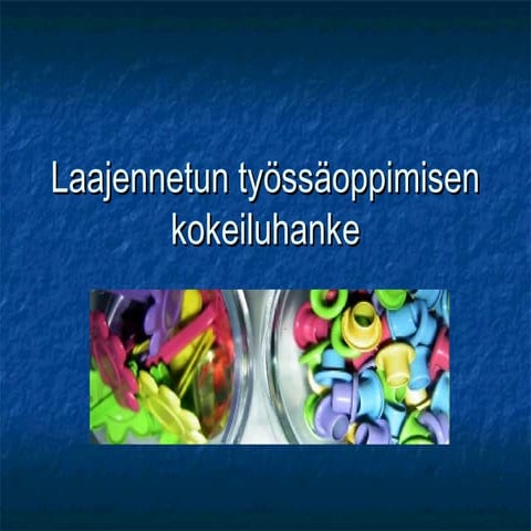Laajennetun työssäoppimisen kokeiluhanke_syksy 2010