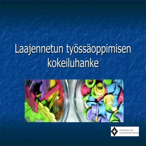 Laajennettu työssäoppiminen 13.12.2010