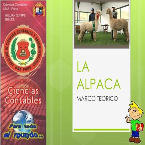 La alpaca pub