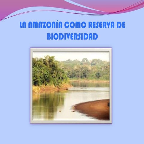 La amazonia 5 e | PPTX