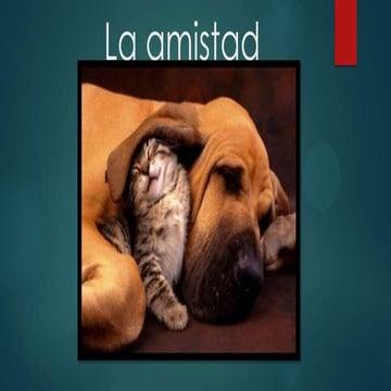 La amistad