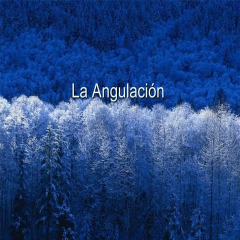 La angulación