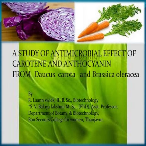 antimicrobial activity 