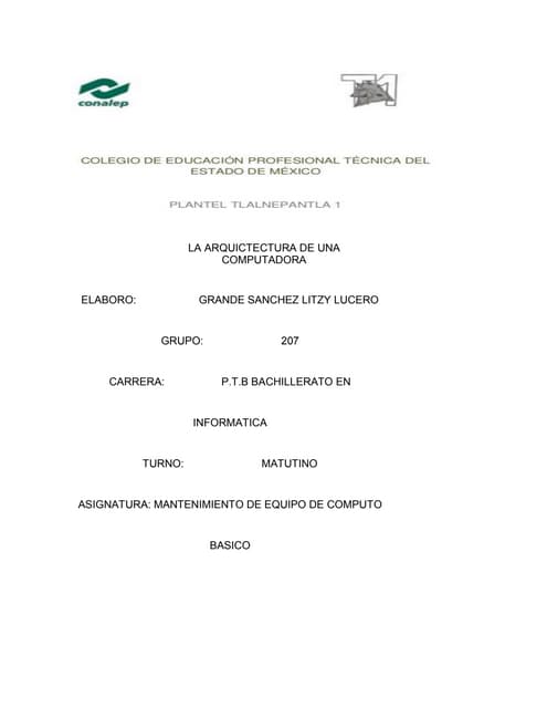 Formato preventivo del pc | PDF