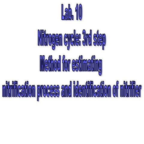 Lab.10 methods for estimating nitrification process
