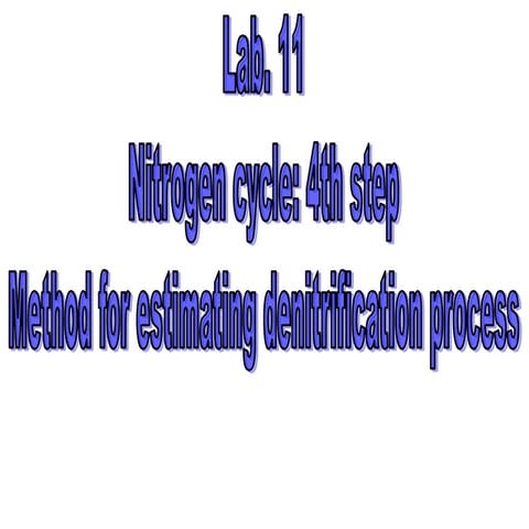 Lab.11 methods for estimating denitrification process
