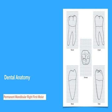 Dentist Patient Position.pdf