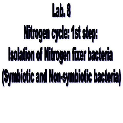Lab.8 isolation of nitrogen fixer bacteria