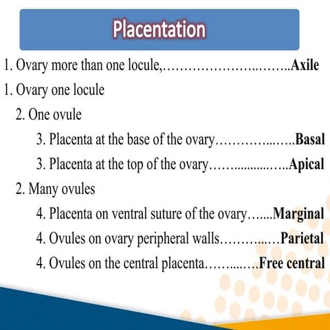 Placentation