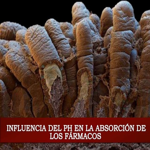 Influencia del pH en la absorción de los fármacos