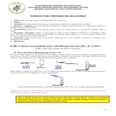 Lab 1. identificação dos íons sódio, potássio e amônia.   lab 2. teste de lab...