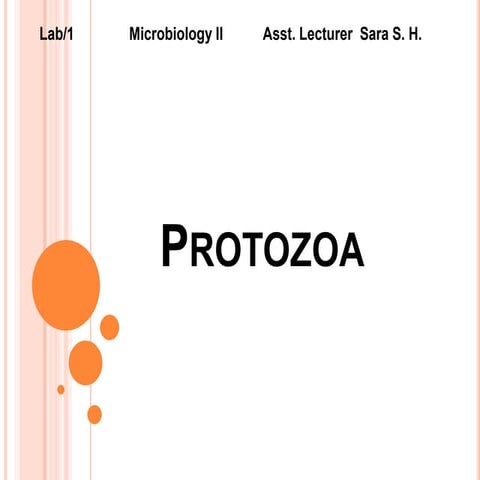 LAB 1 Protozoa  Protozoa  Protozoa .pptx