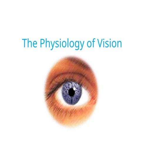 Comprehensive Overview of the Physiology and Anatomy of Human Vision | PPTX